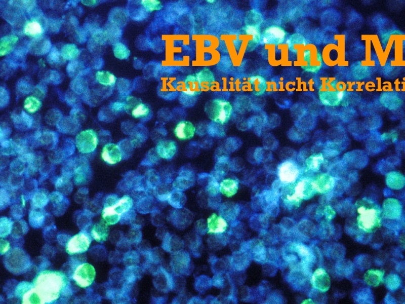 Autoimmunität nach Viruserkrankungen: EBV und Multiple Sklerose